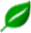ejari attestation